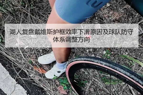 湖人复盘戴维斯护框效率下滑原因及球队防守体系调整方向